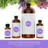 Oil of Youth Cinnamon Bark Essential Oil - Therapeutic Grade for Aromatherapy, Diffuser, Relaxation - 4 fl oz