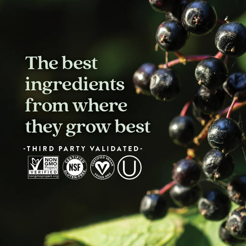 New Chapter Vegan Elderberry Capsules, 64x Concentrated Black Elderberry + Black Currant, 30 Count