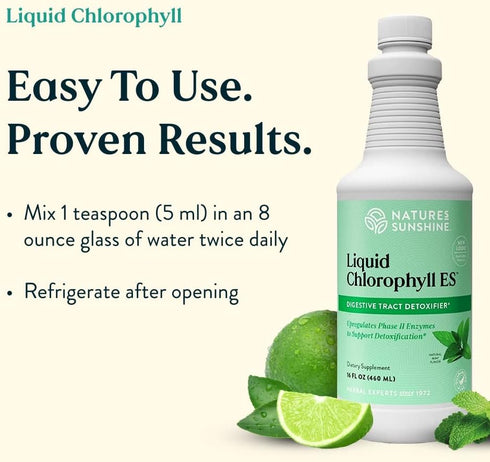 Immunity 16 Oz Nature's Sunshine Liquid Chlorophyll - Support, Detox & Cleanse, Chlorophyll Liquid Drops with Spearmint