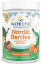 Nordic Naturals Nordic Berries, Citrus - 200 Gummy Berries - Great-Tasting Multivitamin for Ages 2+, 50 Servings
