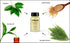 RAYA Bio-Drying Lotion (701), Facial Spot Treatment for Break-Outs, Helps Dry Up White-Heads