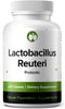 Lactobacillus Reuteri Probiotic Supplement - 240 Tablets with 3 Billion CFU for Digestive & Gut Health