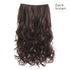 REECHO 14" 1-Pack 3/4 Full Head Wavy Clips in Synthetic Hair Extensions HE008 for Women