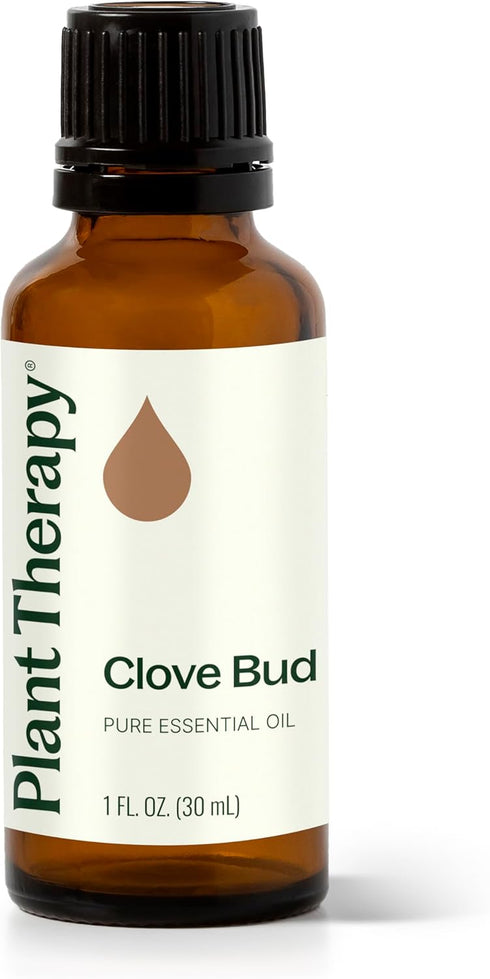 Plant Therapy Clove Bud Essential Oil 100% Pure, 30 mL (1 oz), Undiluted, Natural Aromatherapy
