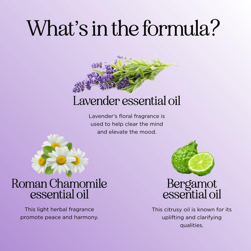 Sleep Essential Oil Blend for Diffuser - Snooze Blend with Lavender, Roman Chamomile, Cedarwood for Nighttime Relaxation