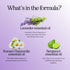 Sleep Essential Oil Blend for Diffuser - Snooze Blend with Lavender, Roman Chamomile, Cedarwood for Nighttime Relaxation