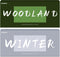 Woodland & Winter Fragrance Oils Set, AmaKane Fragrance Oil for Candle Making,