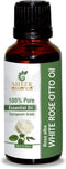 White Rose Otto Oil (Rosa Alba) Essential Oil, 100% Pure Natural, 0.51 Fl.OZ, Therapeutic Grade