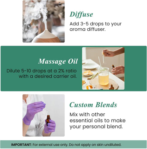 Set: (2 4 Oz) 100% Handcraft Blends Herbal Clarity Eucalyptus and Rosemary Essential Oils x Fl Pure & Natural