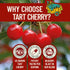 Tart Cherry Capsules & Gummies - Lumberjack Strength Blend (90 Count Capsules, Grown in USA)