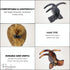 Parcelona French Small Three Teeth Pony Fish Style Hair Claw Clip Clamp, Strong Grip, Tortoise Shell and Black