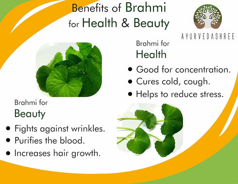 Centella asiatica Powder 100 Gm I Known as Gotu Kola, brahmi I Mandupakarni Powder I Non GMO I Gluten Free I Vegan