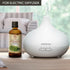 Citronella Essential Oil, 3.4 Fl Oz (100ml), 100% Pure & Natural for Massage, Sauna, Cosmetics