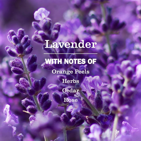 Set, (12.5 Oz), (16 Oz) (16 Oz) Mrs. MEYER'S CLEAN DAY Kitchen Basics Lavender Scent Cleaning Supplies includes Hand