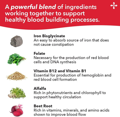 LifeSeasons Blood Nourish-R - 60 Capsules Iron Supplement for Anemia, Fatigue, Paleness & Dizziness, Non Constipating