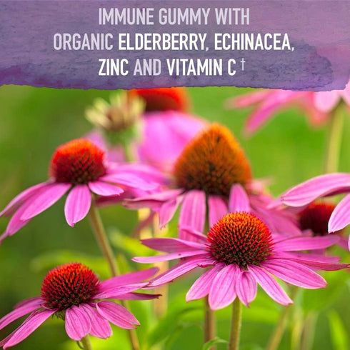 Gummies Immune 120 Gummies Garden of Life Organics Elderberry for Adults & Kids - Support Supplement with Organic
