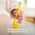 Frida Baby Training Toothbrush for Toddlers, Soft Silicone Bristles, Easy-Grip Handle, Yellow