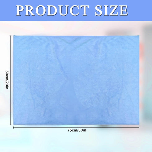 6 Pcs Extra Large Microfiber Cleaning Cloth, 20" x 30" Washable Reusable Large Floor Cloth Rags, Microfiber Towels for Mop Cleaning Office Bathrooms Housekeeping (Blue, White) by CODOHI