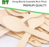 RT Disposable Wooden Tableware, 200 Pieces Natural Wooden Ice Cream Spoons, 4.3 Inches