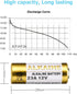 LiCB A23 12V Alkaline 23A Batteries, 10-Pack