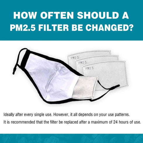 50 PCS PM 2.5 Filters, Activated Carbon Replaceable Filters (50 pcs)