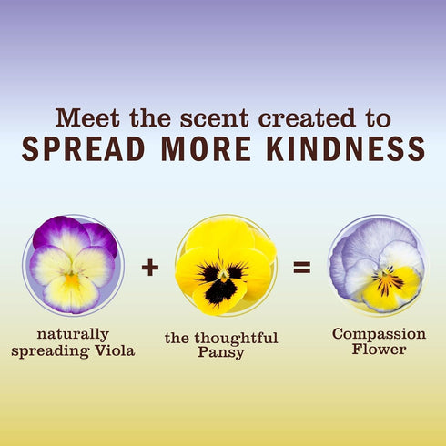 Set, 3 Mrs. MEYER'S Kitchen Dish Soap, Hand Soap, and Multi-Surface Cleaner, CT (Compassion Flower)
