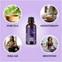 Set Maple Holistics Essential Oils - Relaxing Nighttime and Morning Essential Oil Blends for Diffuser with Mint