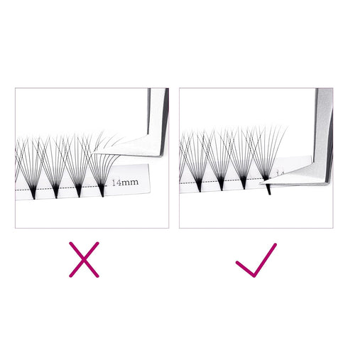 Volume Lash Extensions Mixed Tray, 0.07 C Curl, 10D Premade Fans Eyelash Extensions, 8-14mm, Pointed Base Middle Stem
