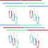 12 Pcs Squeegee for Shower Glass Door, 9.8'' Small Shower Squeegee Bulk with Hanging Hole for Bathroom and Car Cleaning