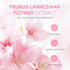 Skin Care Set JAPAN SAKURA - Women Beauty Gift Set with Serum, Eye Cream, and Face Cream Travel Kit