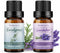 Sedbuwza Lavender Eucalyptus Essential Oil Set, Lavender Fragrance Oil Eucalyptus Scent Oil