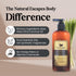 Moisturizing & Firming Lemongrass Body Lotion & Hand Cream, 8oz Natural Moisturizer for Dry Skin