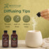 Set 4 oz Eucalyptus & Peppermint Essential Oils for Diffuser, Aromatherapy, Breathe & Refresh, Massage & DIY, Room