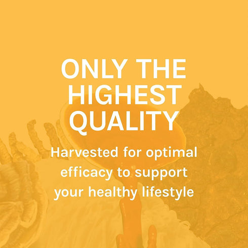 Host Defense MycoBotanicals Energy* Capsules - Energy & Respiratory Support with Cordyceps, Reishi & Chaga - 60
