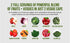 InnoSupps Full Spectrum Reds & Greens - 2 Servings of Fruits + Veggies, Spirulina, Chlorella, Antioxidants