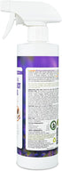 EcoVenger by EcoRaider All Purpose Insect Control 16 OZ, Fleas, Fruit Flies, Gnats, Moths, Roaches, Spiders,Roaches. Fast Kill, Lasting Prevention, Kill Eggs, Plant Extract Based & Non-Toxic