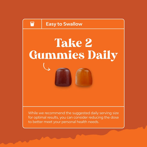 Gummies B12 Gummy Immunity Gummies 30 Count Potent Daily Multivitamin for Adults - Wellness Blend of Vitamin D A C E