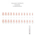 Hypnaughty 24 Pcs Modern White French Coffin Press On Nails with Design, Glue, Medium Long, Nude Color
