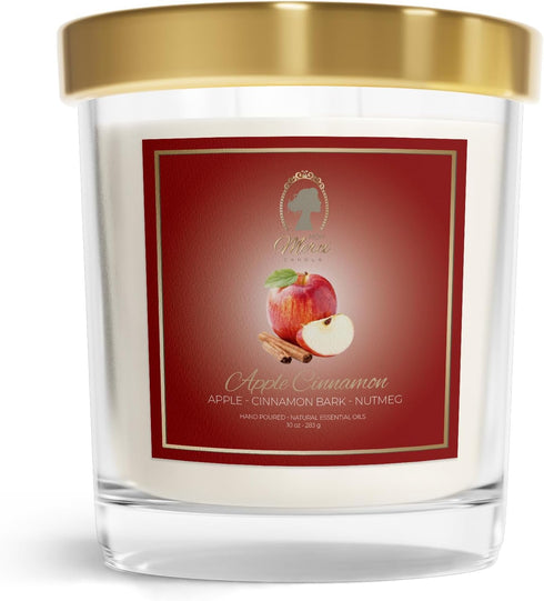 Scented Candle - Apple Cinnamon - Aromatherapy - Stress Relief - Home