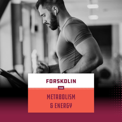Pure Forskolin Extract for Weight Loss Supplement - Maximum Strength Belly Buster for Healthy Weight Management