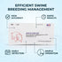 Sow Pregnancy Test Strips for Accurate Pig Pregnancy Diagnosis