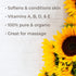 Plant Therapy Organic Sunflower Carrier Oil, 4 oz Base Oil for Aromatherapy