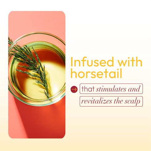 ORS HAIRestore Hair Fertilizer, 6 Ounce, Nettle Leaf and Horsetail Extract