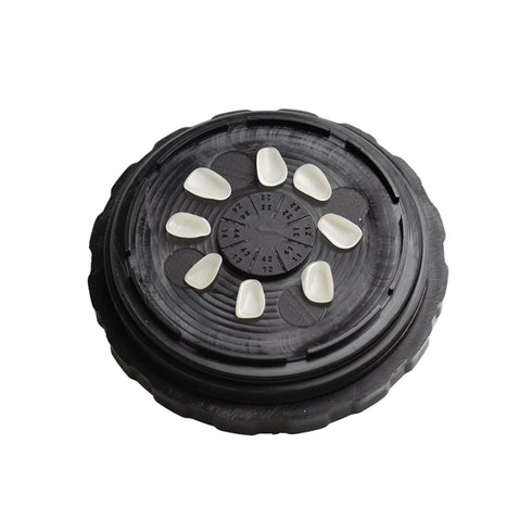Denture Case, Dental All-Ceramic Veneer Processing Box, Reusable Black Storage Box with Spare Pad