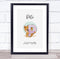 The Card Zoo New Baby Birth Details Christening Nursery Bear Initial P Keepsake Gift Print