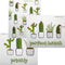 Mixed Cactus Set of 3 Swedish Dishcloths | ECO Friendly Absorbent Cleaning Cloths | Reusable Wipes