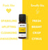 Lemon Essential Oil 30mL by Revive Essential Oils - 100% Pure Therapeutic Grade for Diffuser and Aromatherapy