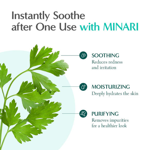 RATAPLAN Minari Calming Moisture Cream - 2.53 fl.oz 75ml - Daily Gel Cream for Dry and Sensitive Skin