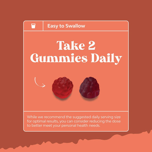 Sugar Free Fiber Gummies for Adults - High Fiber Supplement with Prebiotic Chicory Root for Immunity and Digestive
