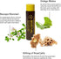 BEEKEEPER'S NATURALS B.LXR Brain Fuel, Memory & Focus Liquid Formula, 6 ct, Keto Friendly